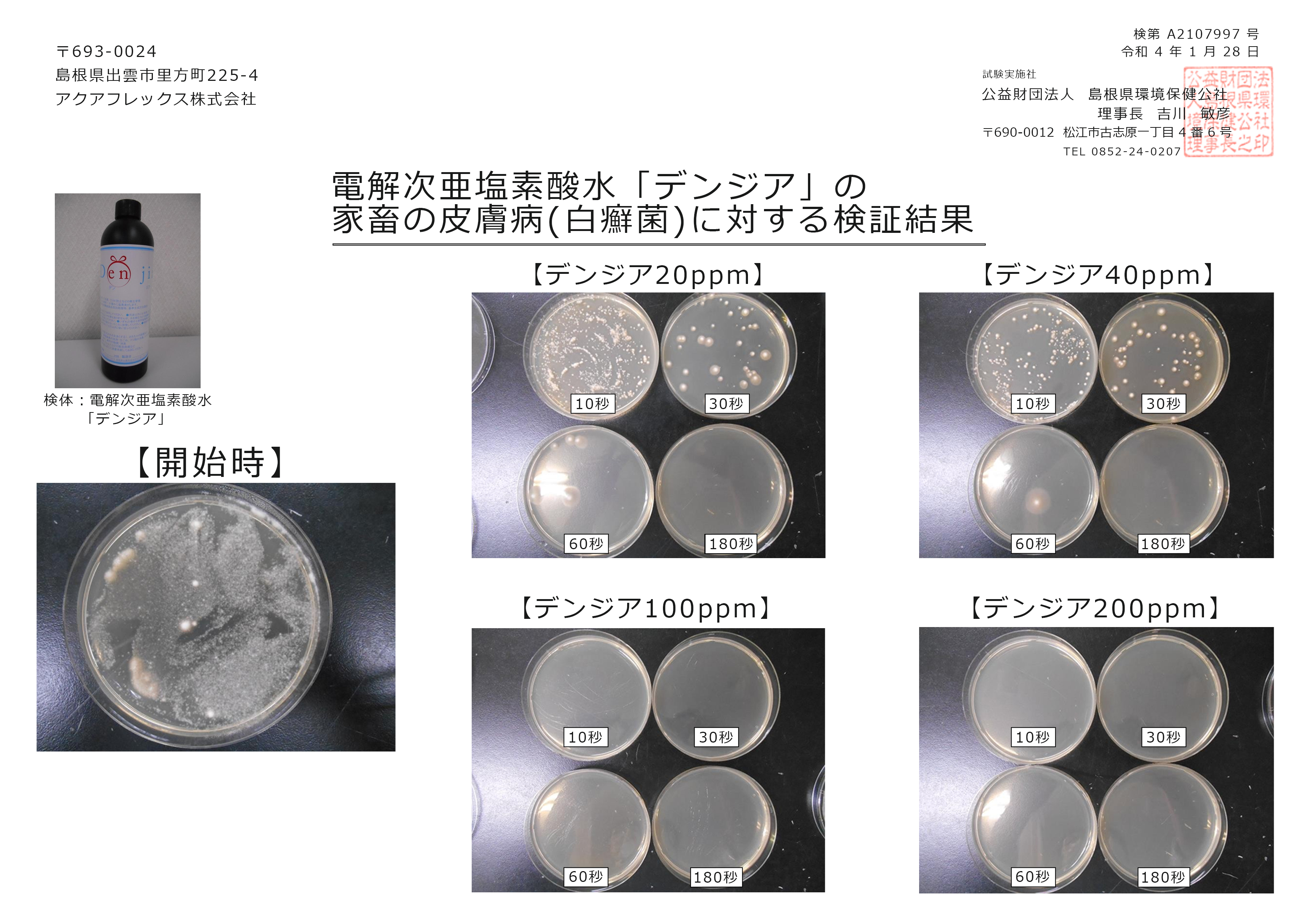 電解次亜塩素酸水